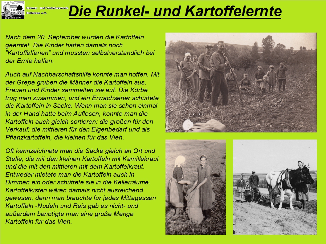 Kartoffel 2